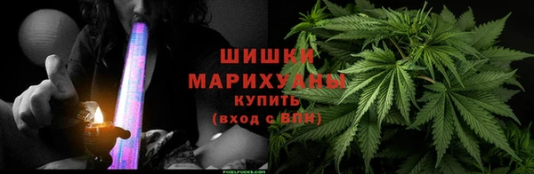 прущие грибы Беломорск