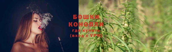 прущие грибы Беломорск