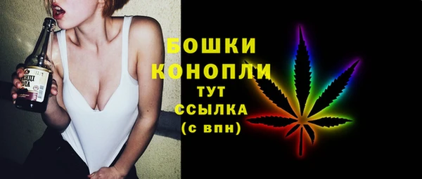 дмт Белокуриха