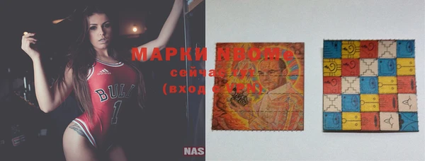 прущие грибы Беломорск