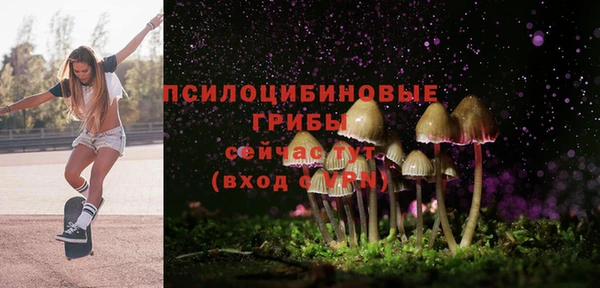 прущие грибы Беломорск
