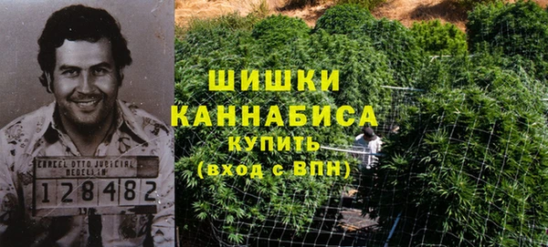 дмт Белокуриха